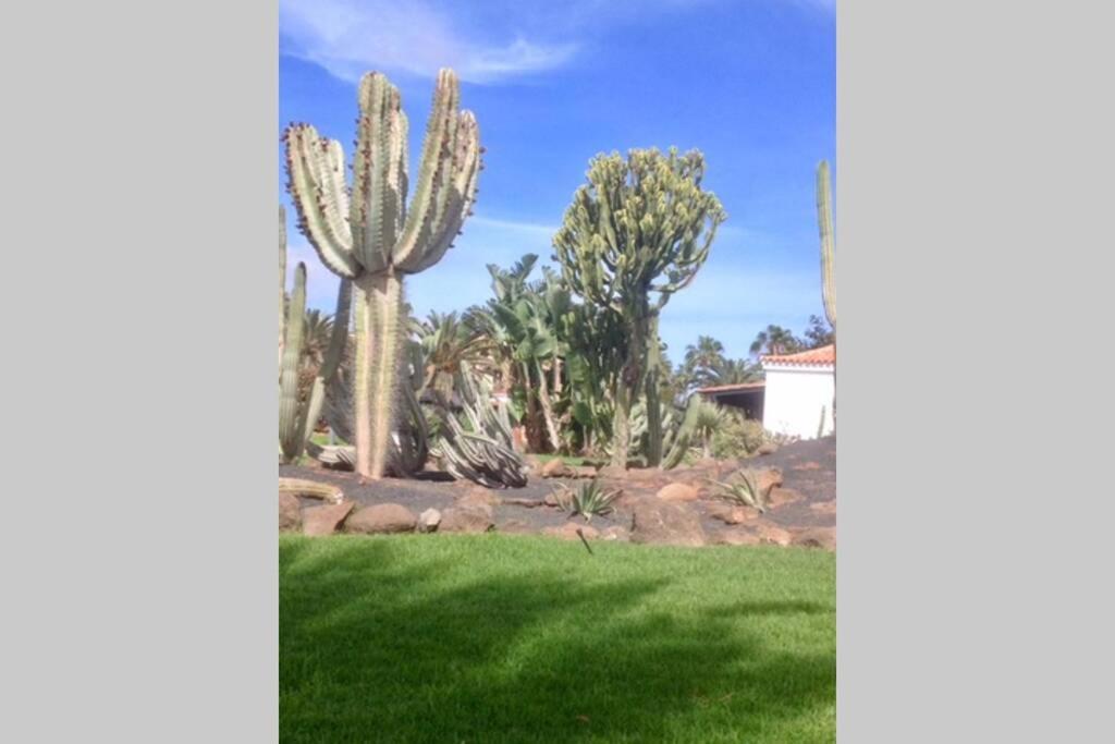 Apartment Duplex /calme-piscine-vue Ocean-regle/hygiene Cov. Costa De Antigua